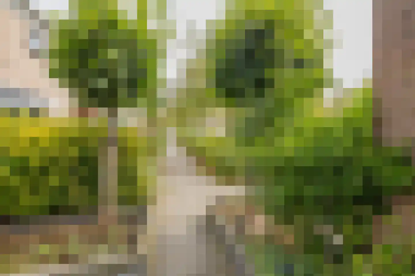 Mary Zeldenruststraat 33 Heemskerk thumbnail 5