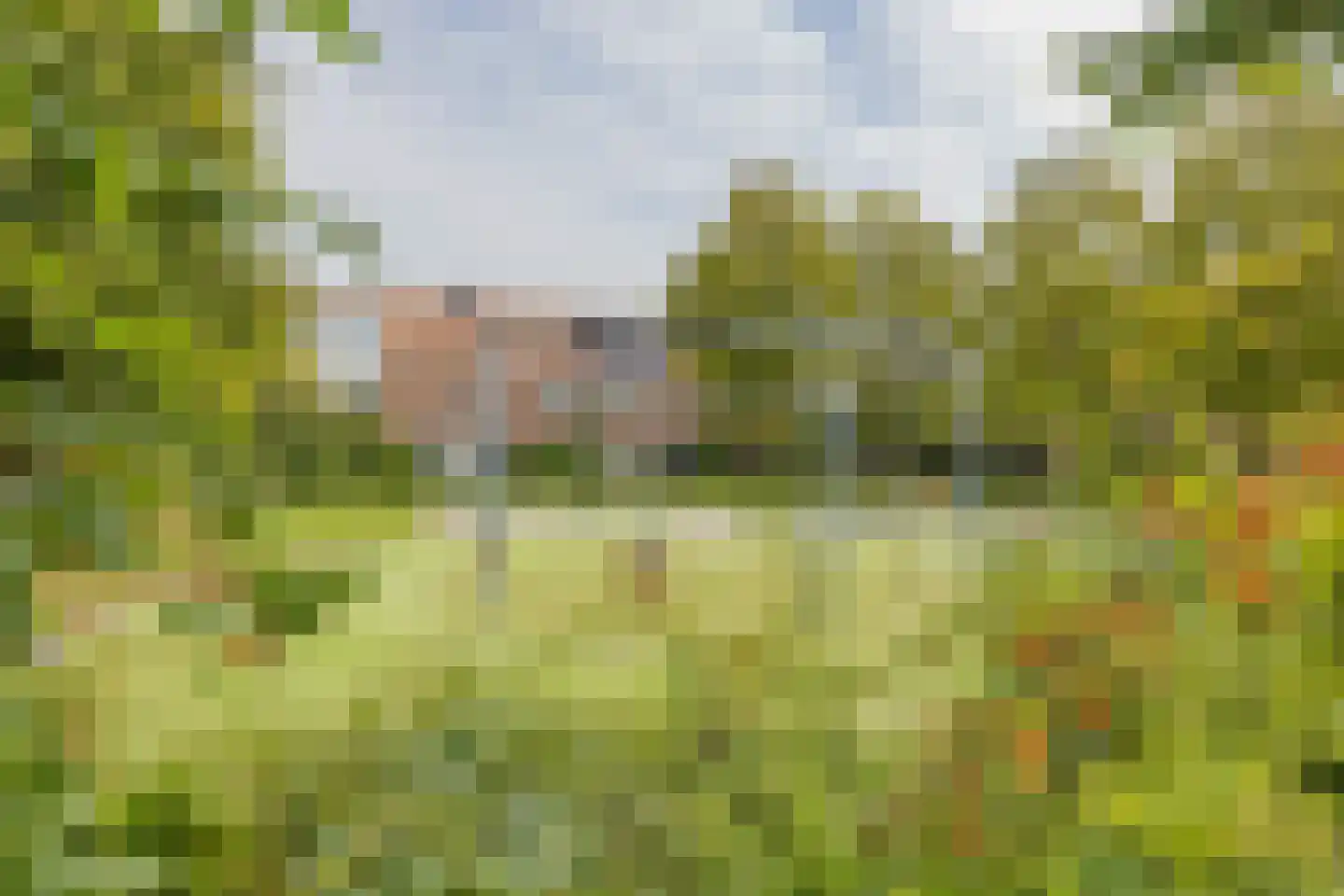 Mary Zeldenruststraat 33 Heemskerk thumbnail 61