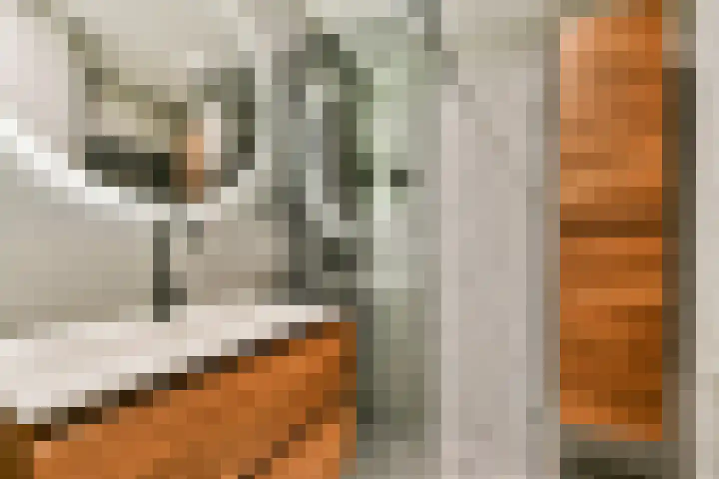Mary Zeldenruststraat 98 Amsterdam thumbnail 15