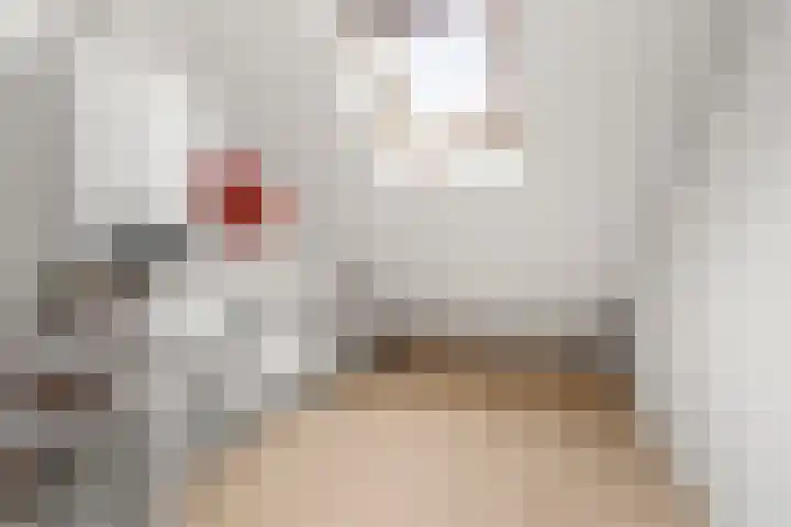 Masada 4 Schoonrewoerd thumbnail 29