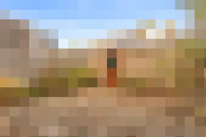 Masada 4 Schoonrewoerd thumbnail 32