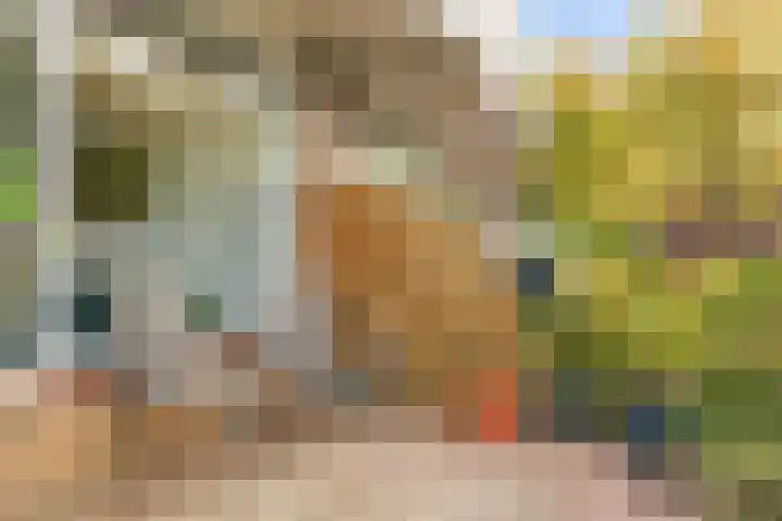 Masada 4 Schoonrewoerd thumbnail 33