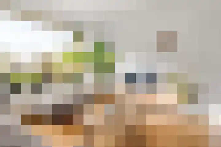 Masada 4 Schoonrewoerd thumbnail 5