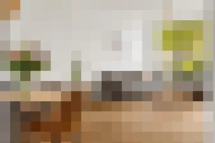 Masada 4 Schoonrewoerd thumbnail 7