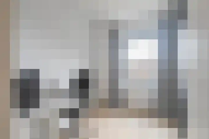Masadastraat 2 Maastricht thumbnail 13