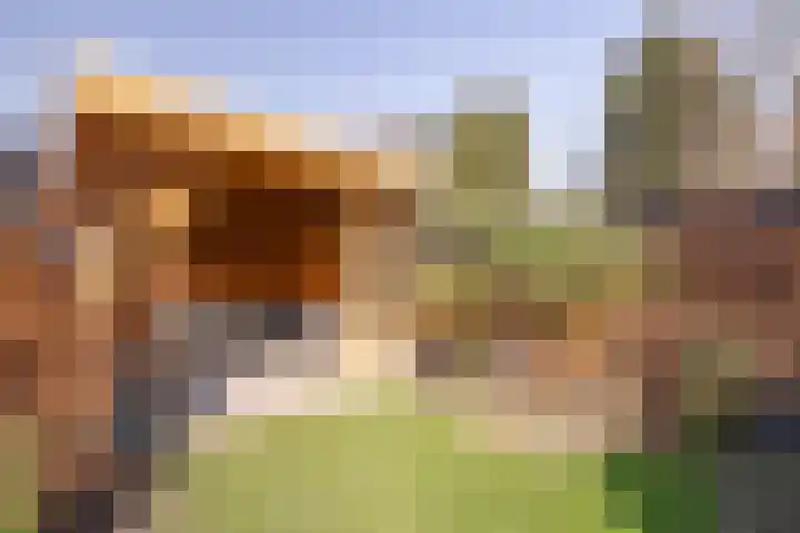 Masadastraat 2 Maastricht thumbnail 20