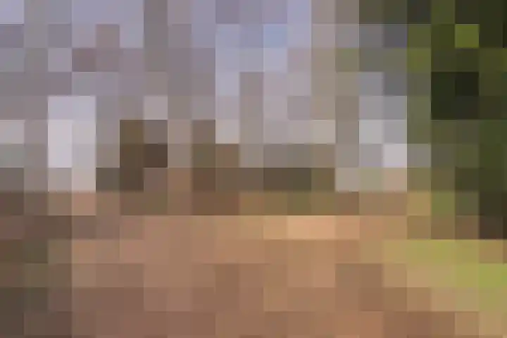 Masadastraat 2 Maastricht thumbnail 30