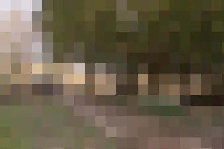Masadastraat 2 Maastricht thumbnail 31