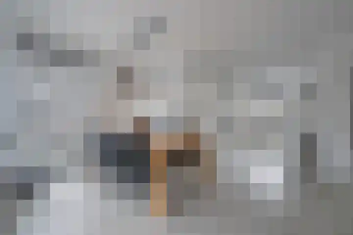 Masadastraat 2 Maastricht thumbnail 4