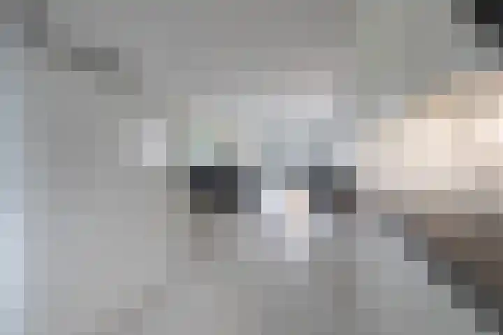 Masadastraat 2 Maastricht thumbnail 6