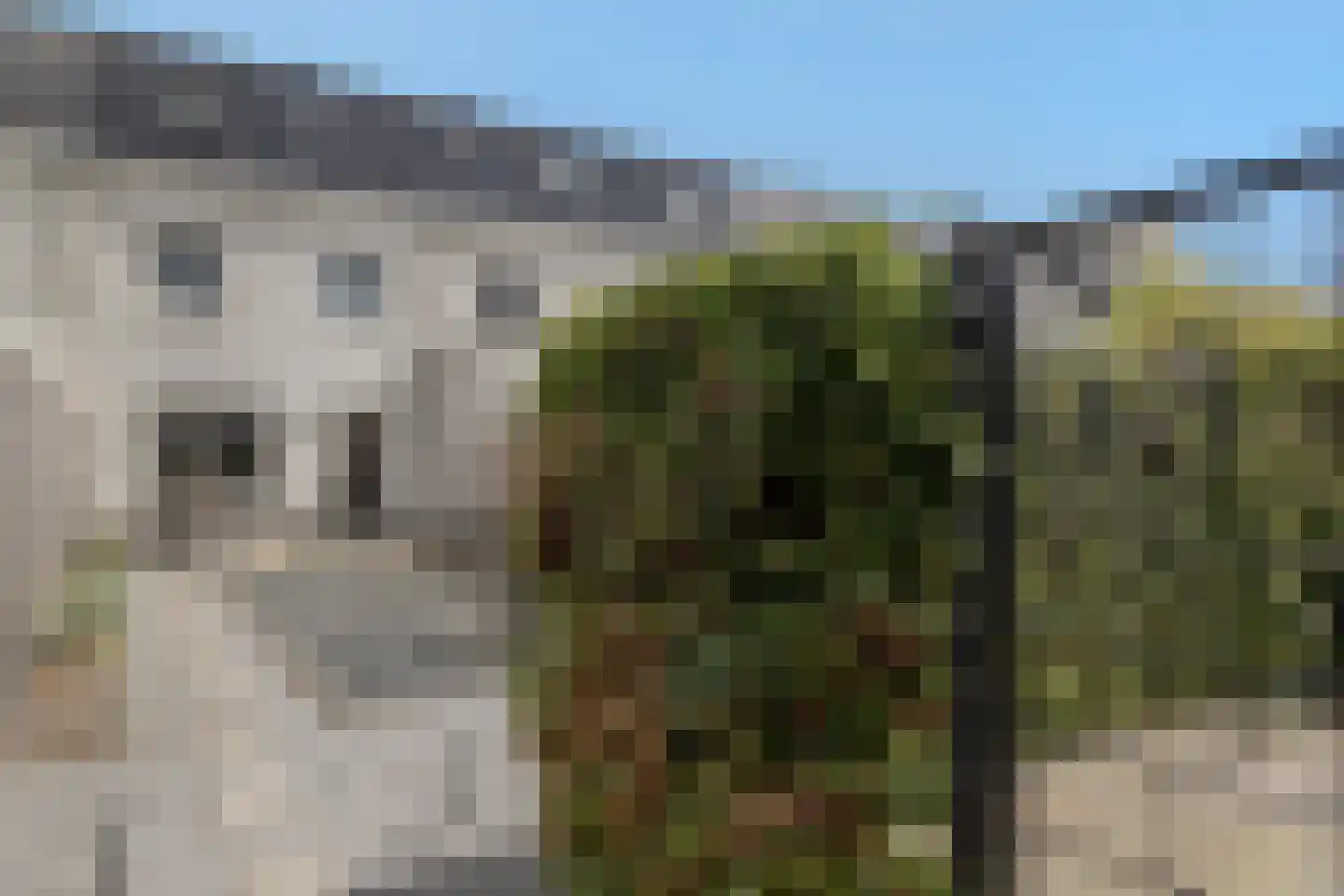 Masadastraat 24 Maastricht thumbnail 15
