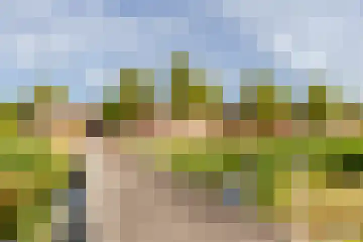 Masaistraat 6 Purmerend thumbnail 45