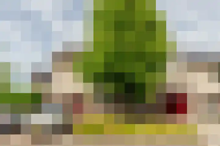 Masaistraat 6 Purmerend thumbnail 5
