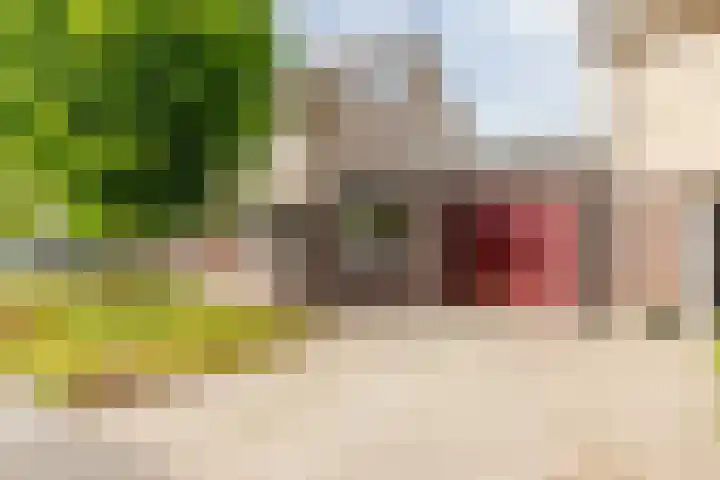 Masaistraat 6 Purmerend thumbnail 6