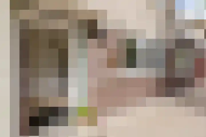 Masaistraat 6 Purmerend thumbnail 7