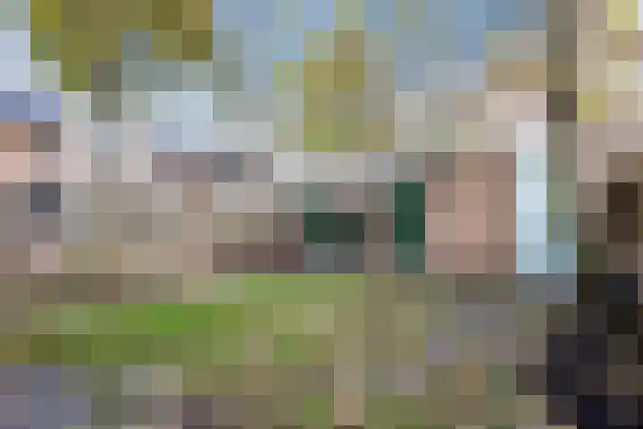 Masayalaan 12 Nijmegen thumbnail 17