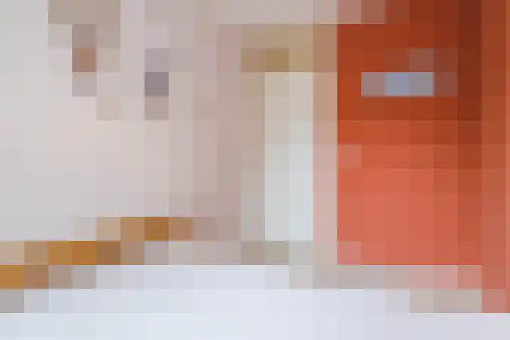 Masayalaan 12 Nijmegen thumbnail 33