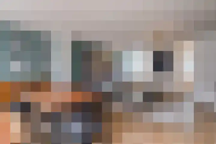 Masayalaan 12 Nijmegen thumbnail 5