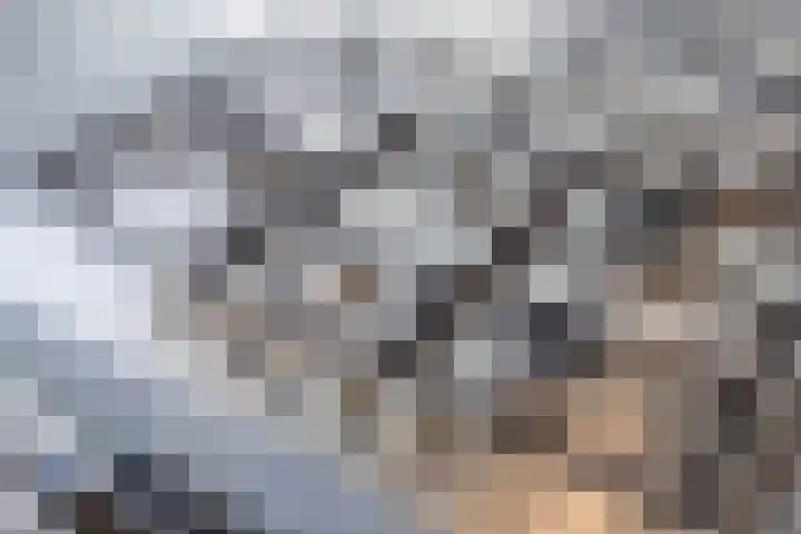 Masayalaan 12 Nijmegen thumbnail 8