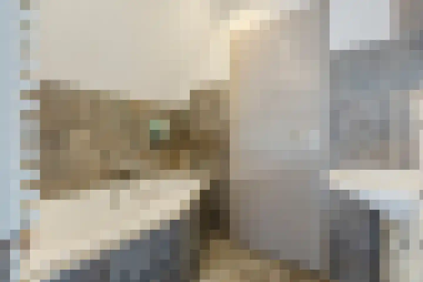 Mascagnihof 618 Tilburg thumbnail 18