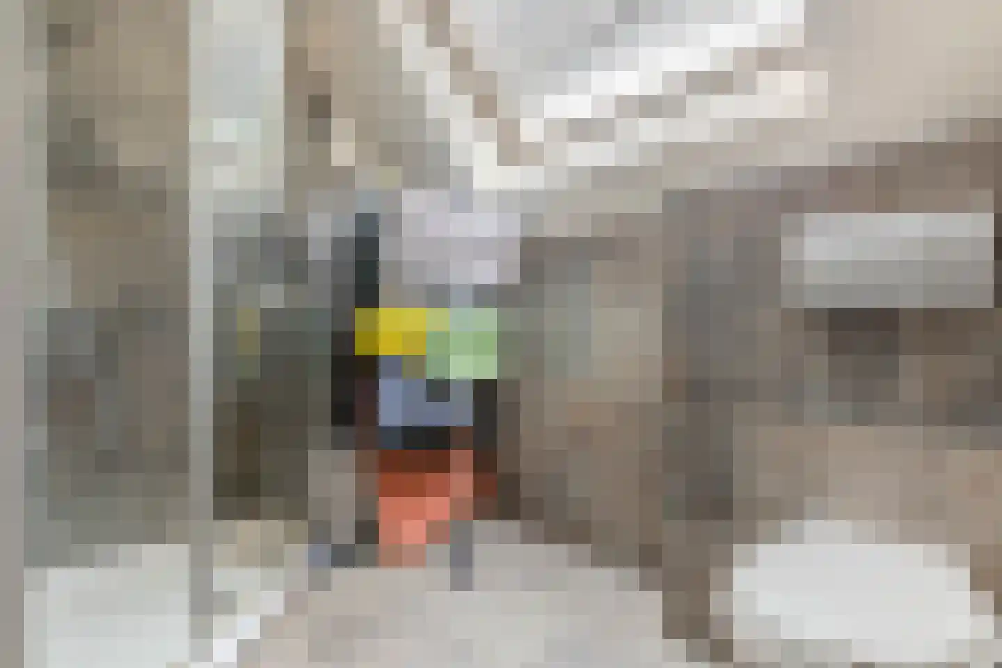 Mascagnihof 618 Tilburg thumbnail 20