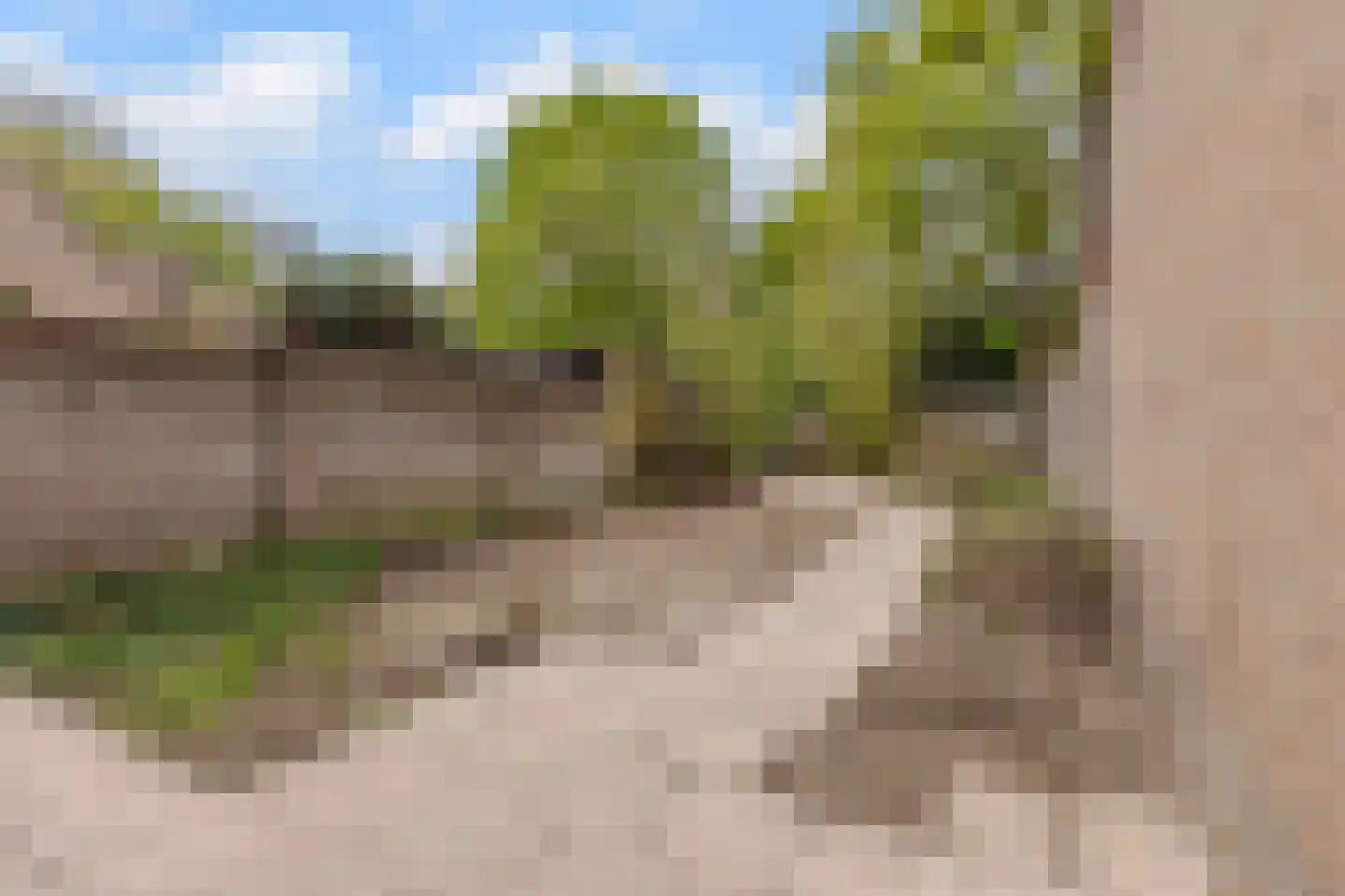 Mascagnihof 618 Tilburg thumbnail 31