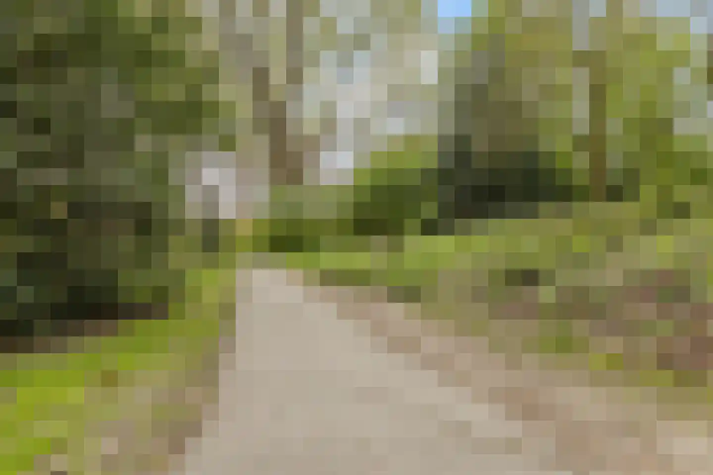 Mascagnihof 618 Tilburg thumbnail 33
