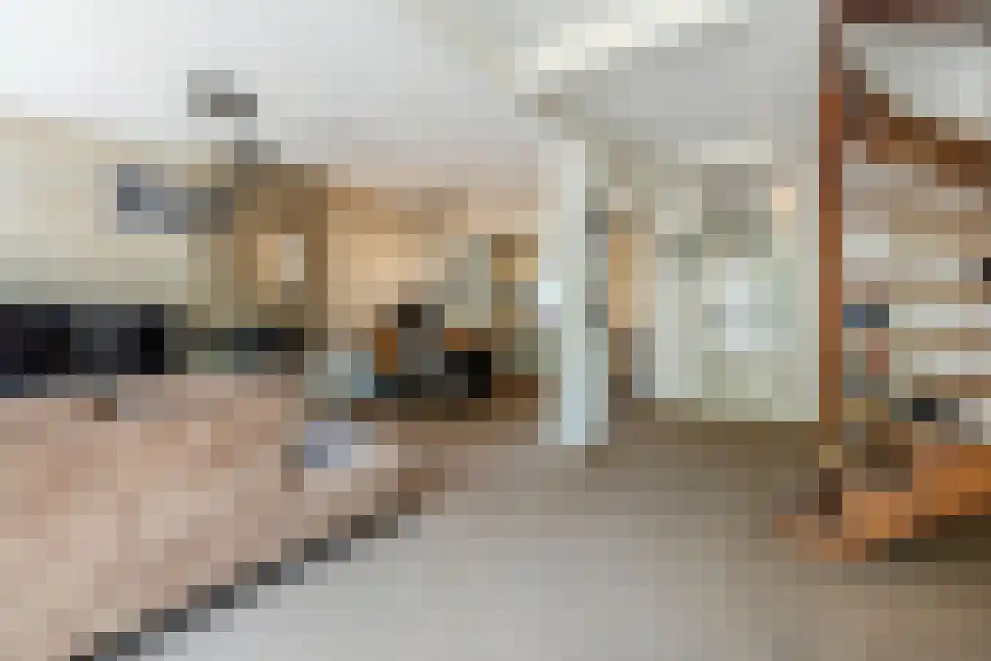 Mascagnihof 618 Tilburg thumbnail 5