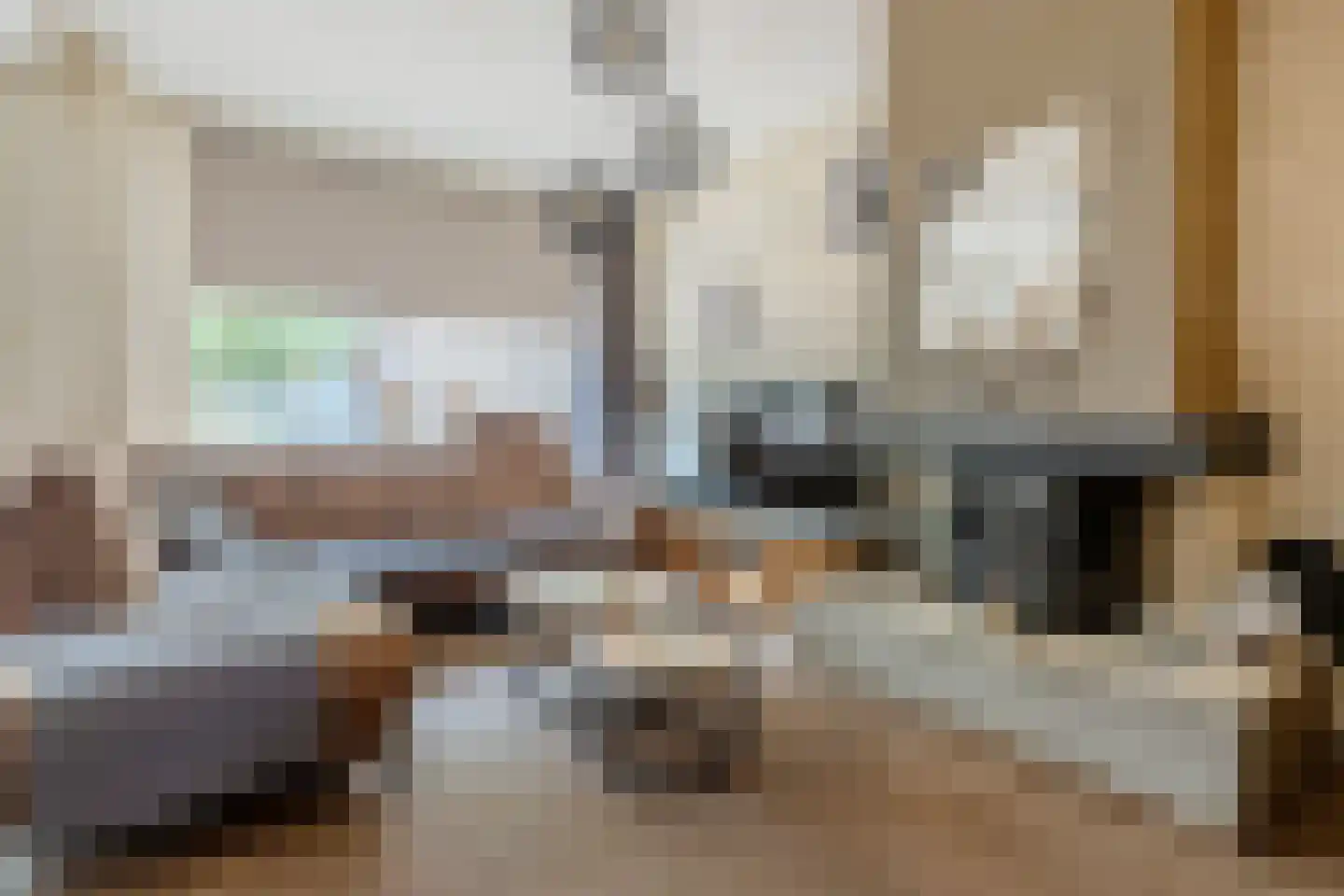 Mascagnihof 618 Tilburg thumbnail 7