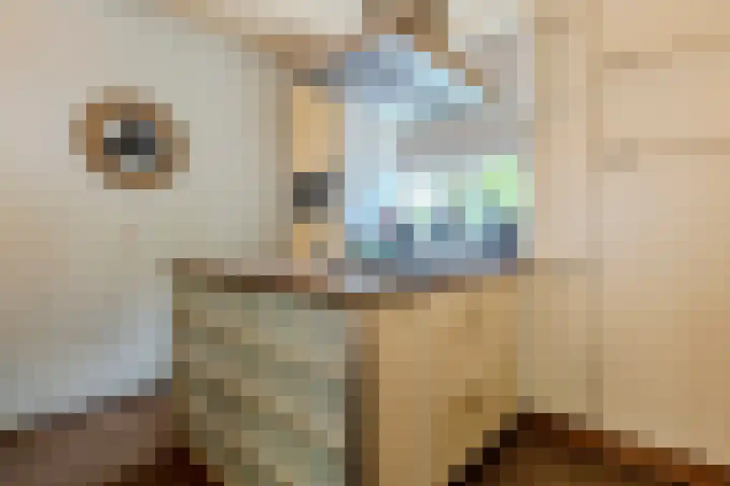Mascagnihof 618 Tilburg thumbnail 9