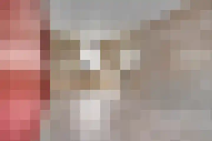 Mascagnihof 655 Tilburg thumbnail 10