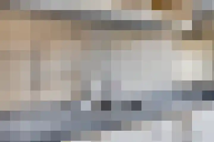 Mascagnihof 655 Tilburg thumbnail 13