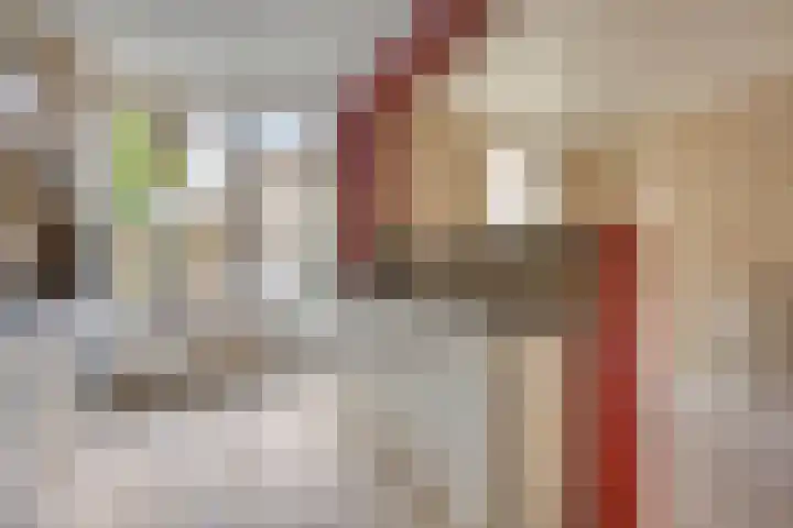 Mascagnihof 655 Tilburg thumbnail 15