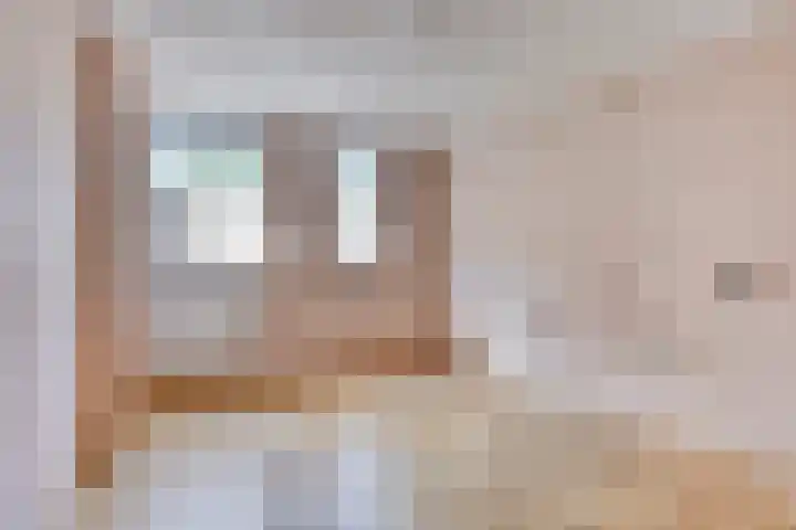 Mascagnihof 655 Tilburg thumbnail 17