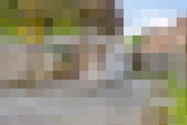 Mascagnihof 655 Tilburg thumbnail 27