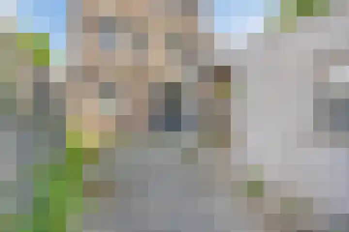 Mascagnihof 655 Tilburg thumbnail 28