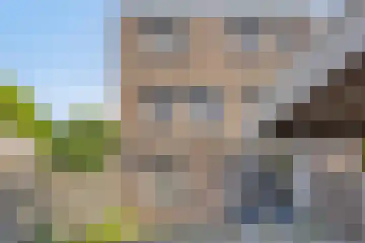 Mascagnihof 655 Tilburg thumbnail 29