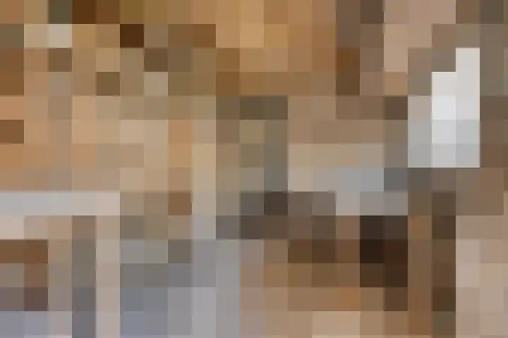 Mascagnihof 655 Tilburg thumbnail 31