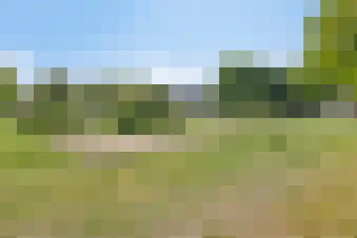 Mascagnihof 655 Tilburg thumbnail 32