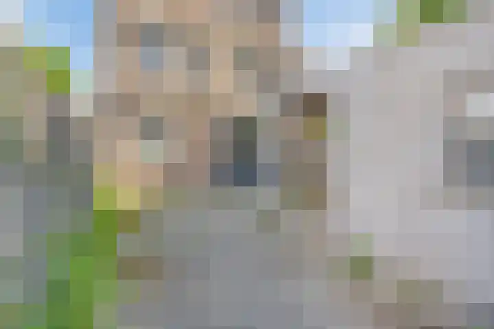 Mascagnihof 655 Tilburg thumbnail 5