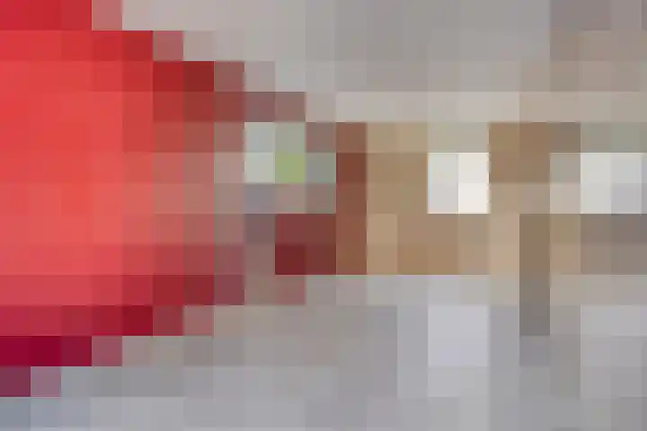 Mascagnihof 655 Tilburg thumbnail 9
