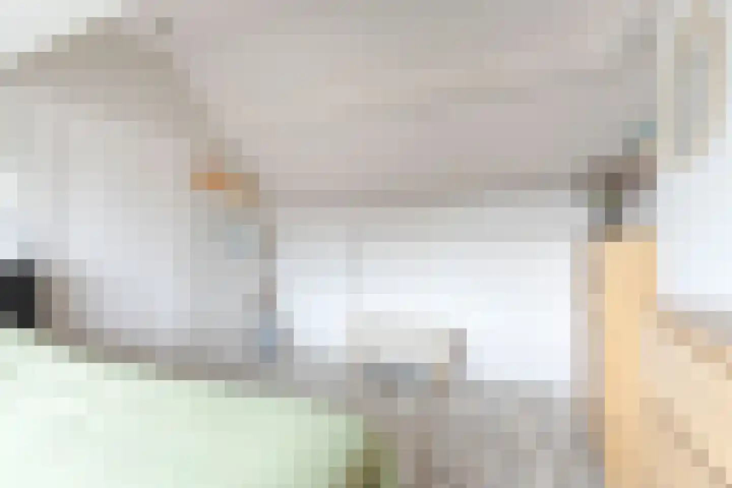 Mascagnistraat 13 Heemskerk thumbnail 21