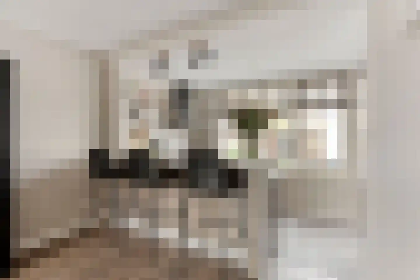 Mascagnistraat 13 Heemskerk thumbnail 7