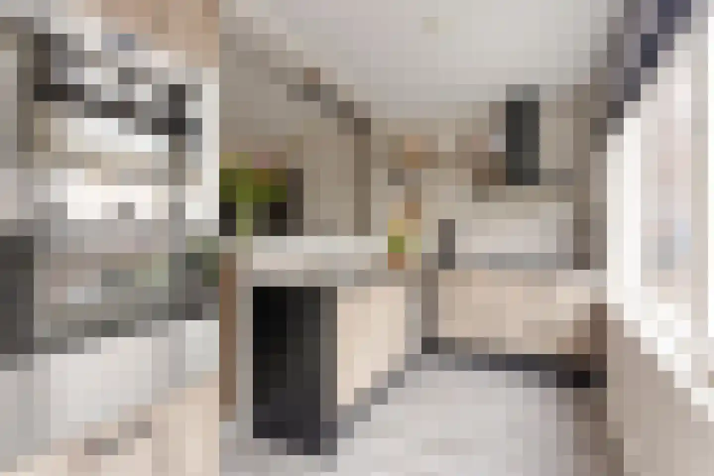 Mascagnistraat 13 Heemskerk thumbnail 8