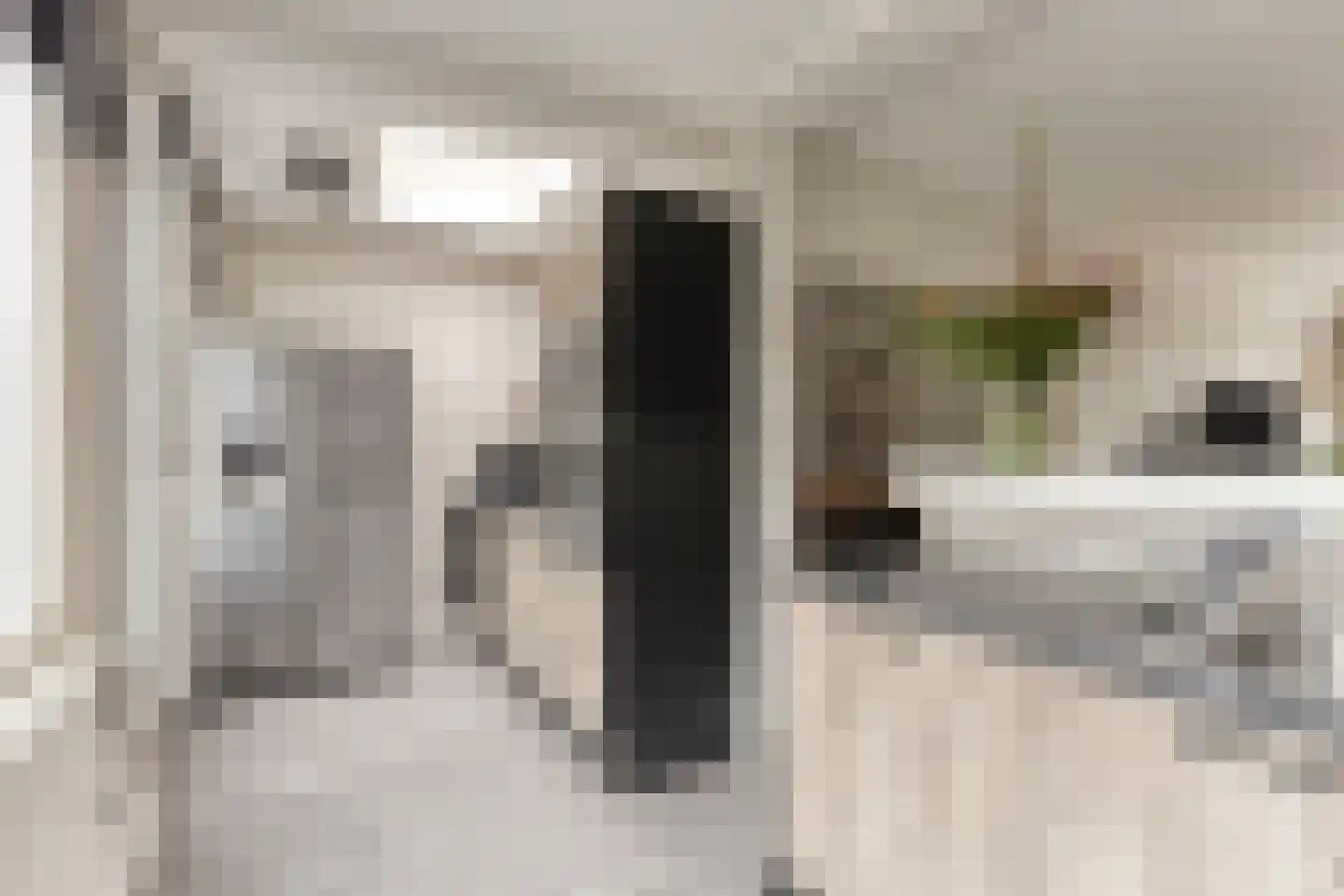 Mascagnistraat 13 Heemskerk thumbnail 9