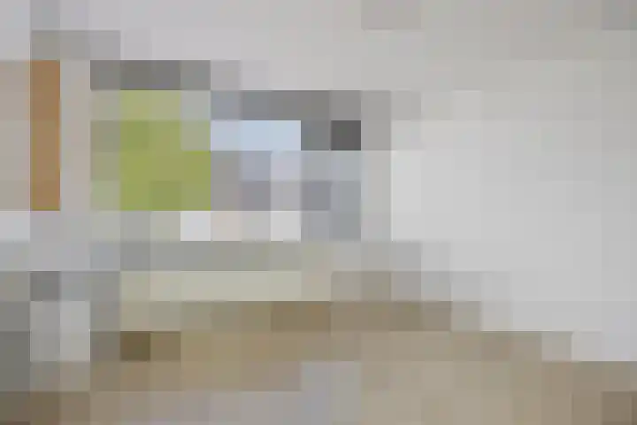 Mascagnistraat 136 Tilburg thumbnail 21
