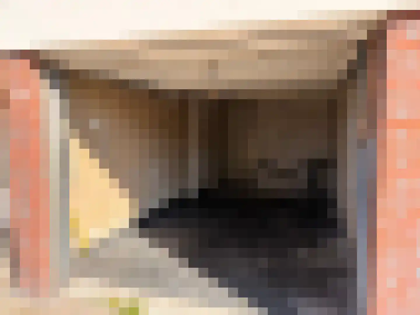 Mascagnistraat 18 Heemskerk thumbnail 10