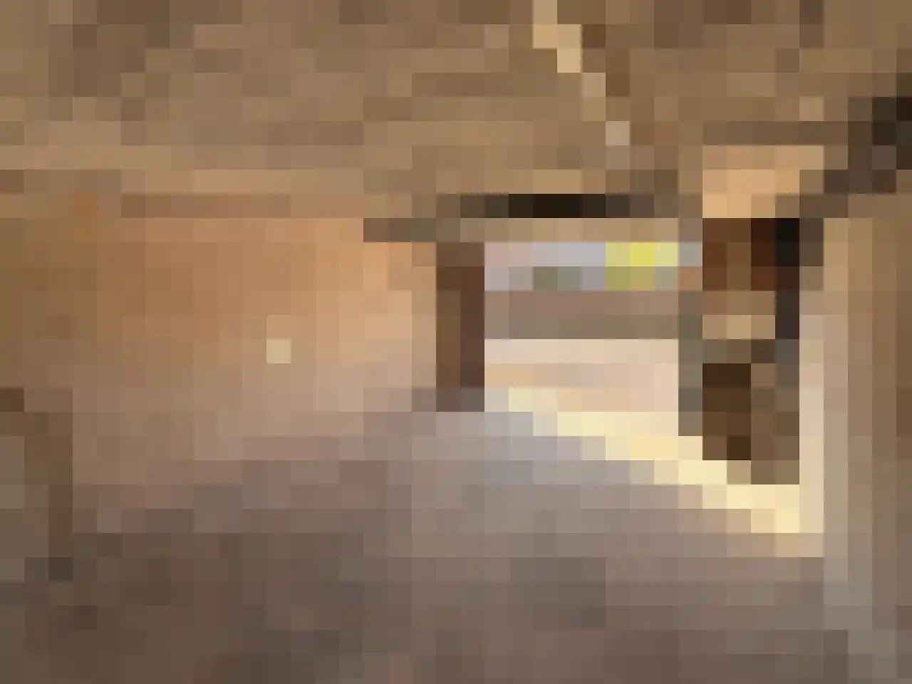 Mascagnistraat 18 Heemskerk thumbnail 4