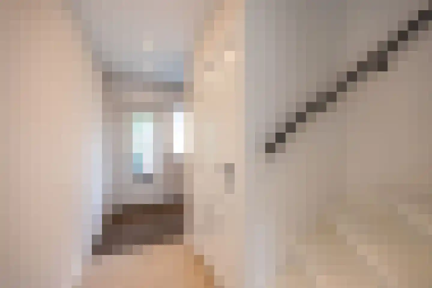 Mascagnistraat 23 Heemskerk thumbnail 17
