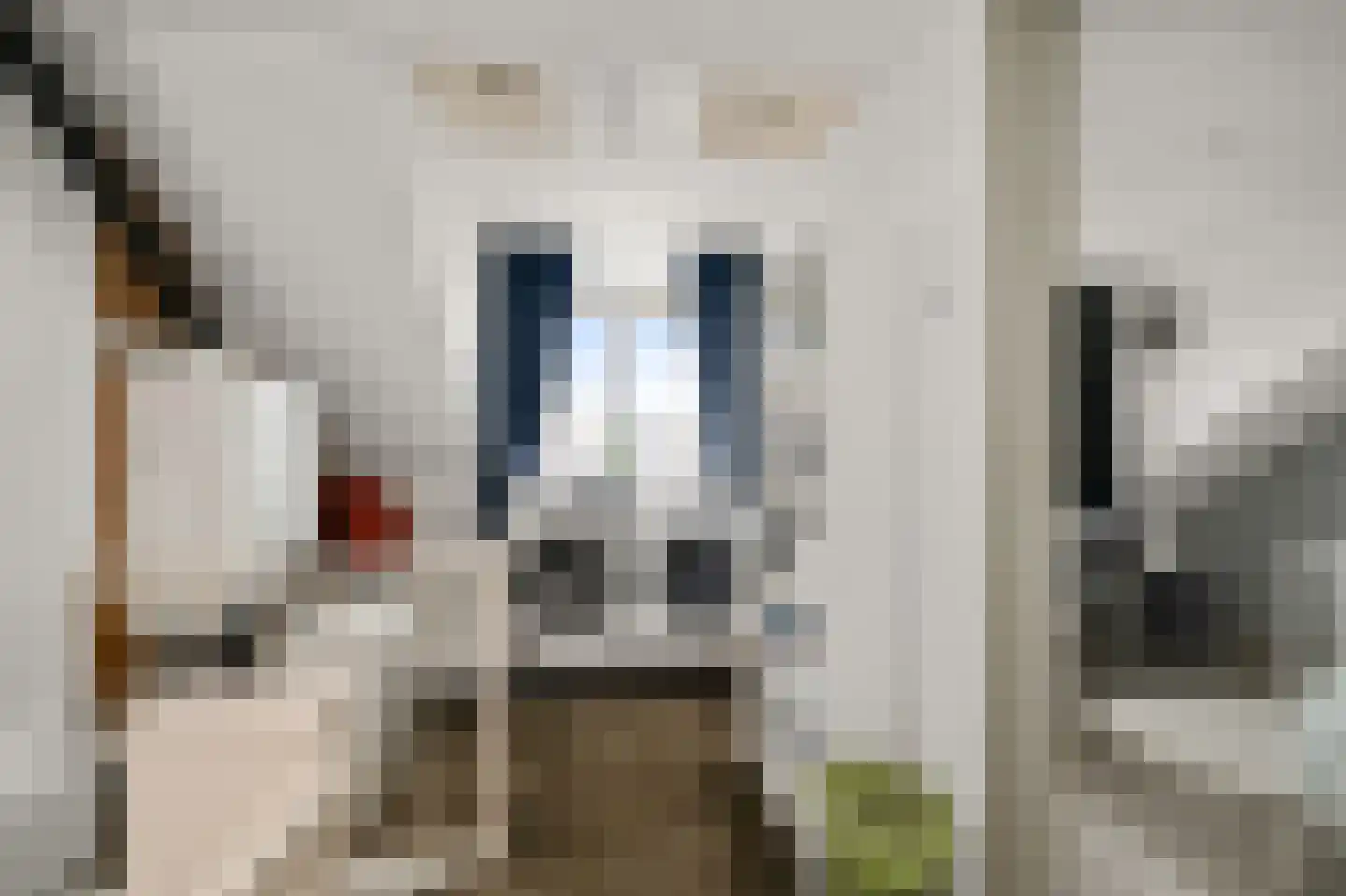 Mascagnistraat 23 Heemskerk thumbnail 22